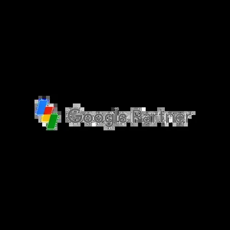 Google Partner certified agency